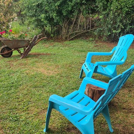 Hilltop Farm Valley View Cottage Henburg Park Ngoại thất bức ảnh